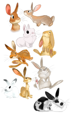 heffysdoodles:  Some warmup buns. (with a