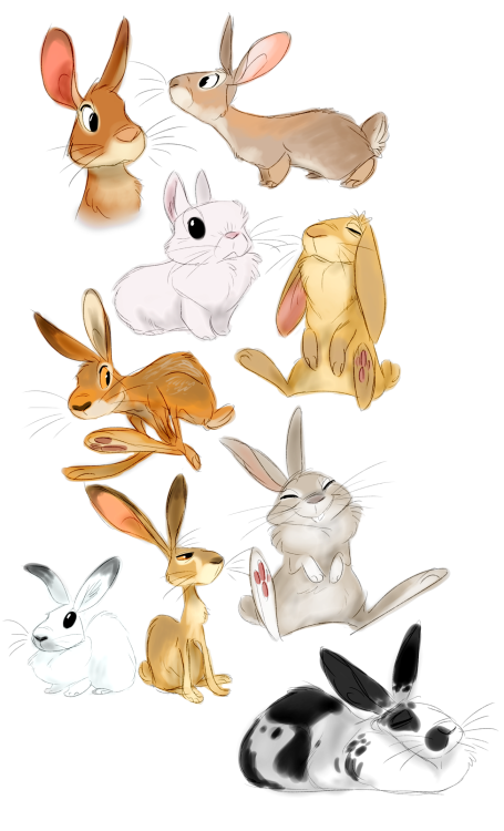 heffysdoodles:  Some warmup buns. (with a special guest some may recognize) 