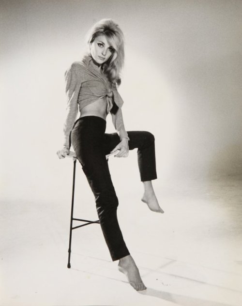 XXX retrogasm:  Sharon Tate photo