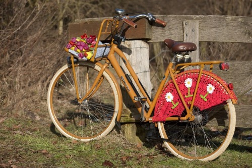 veiligplekje: Crocheted coat protector for your bicycle