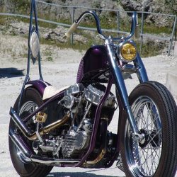 the-baronvonwolfenstein: haywire56:  Panhead