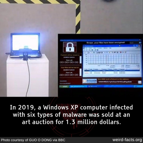 In 2019, a Windows XP computer infected with six types of malware was sold at an art auction for 1.3