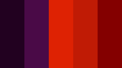 TheSwashbuckler- Submitted ByMidniter