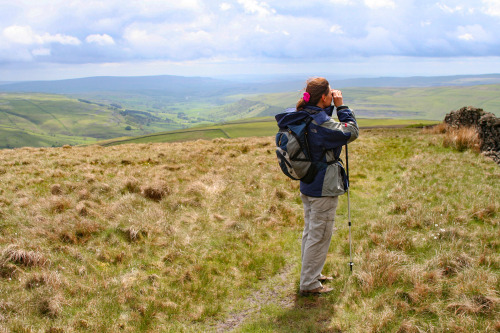 2006: Wharfdale in the Yorkshire Dales. So picturesque, it hurts. Well-exposed limestone bedding fro