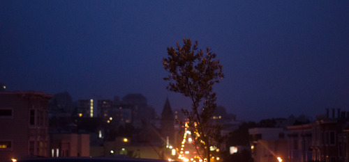 SanFrancisco by Night Light