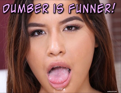 littlehypnobunny: dummmer is funnerr bimmbo is bettter