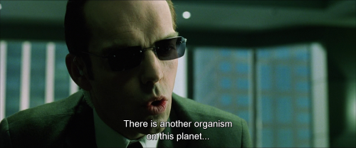 celluloidtoharddrives: Agent Smith (Hugo Weaving) The Matrix (1999) Written and Directed by Andy and Lana Wachowski 