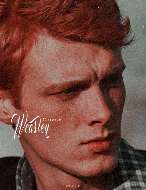 —  A E S T H E T I C S —Charles «Charlie» Weasley