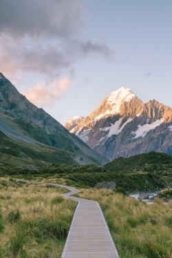 banshy:  Untitled // Emilie Ristevski  