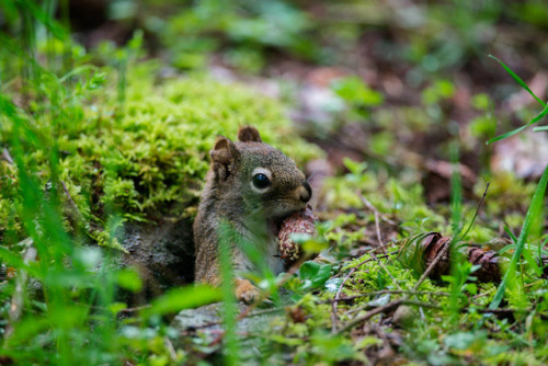 Winter Stash by Bryn Tassell