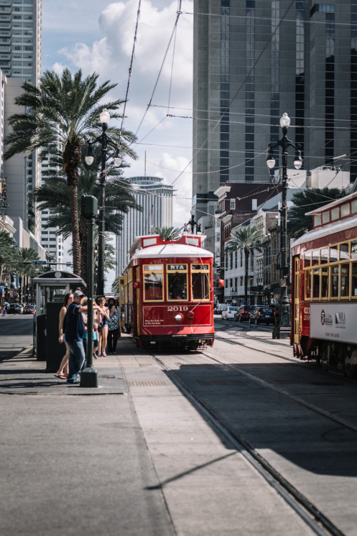 “New Orleans, Louisiana.”Website | Instagram | Twitter | Tumblr