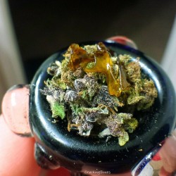 weedporndaily:  I’m up and at it by crackingbones http://ift.tt/1ksTnnv 