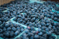 The fruit market