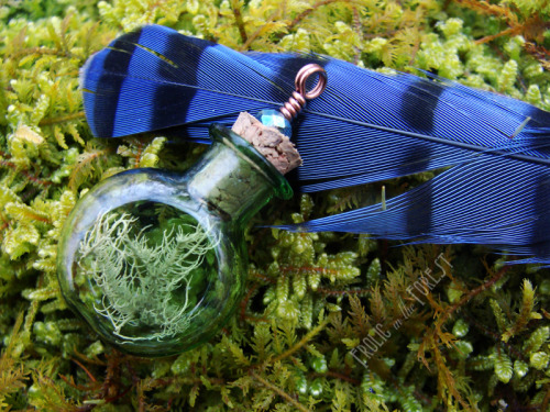 frolicingintheforest: Lichen Specimens in green glass bottles…. three styles available! (:&nb