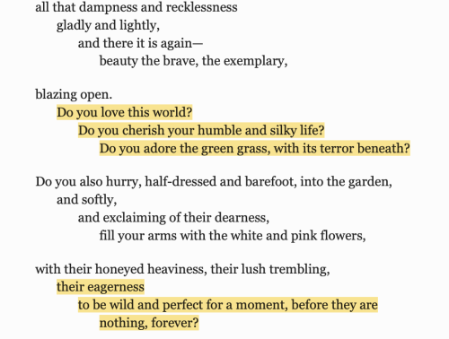 weltenwellen: Mary Oliver, “Peonies”, Devotions