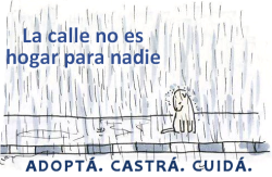 helaine37:  • Castrar: Extirpar o anular los órganos genitales, capar. • Esterilizar: Destruir los gérmenes patógenos que hay o puede haber en cualquier lugar u objeto. ► SIEMPRE ES NECESARIO CASTRAR: -Se evita que los perros se peleen por