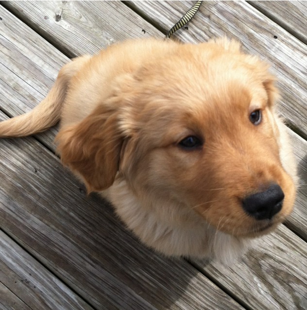 livelablove:  Why, hello there!