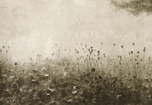 Constant Puyo, Brouillard, 1906