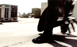 itironman:    The Black Panther has been a protector of Wakanda for generations.