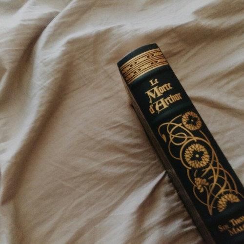 intoxicatingstories:This book is simply gorgeous.
