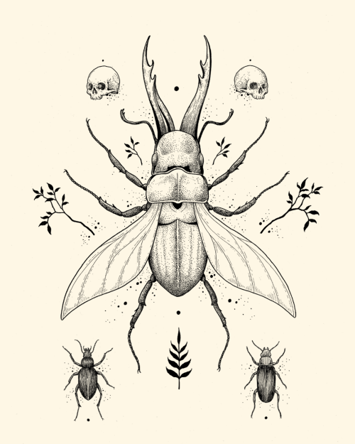 thestrangeforest: Surreal bugs in your surreal head.