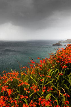 expressions-of-nature:Wet Tuesday by: Jason