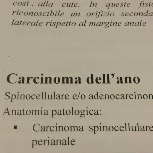 Una frizzante mattinata ad esplorare il mondo dei culi omicidi.