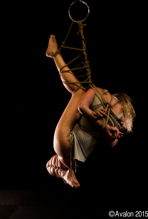 123avalon:  Model: Dealande - Rope & Photo: Avalon - Sydney Rope Dojo