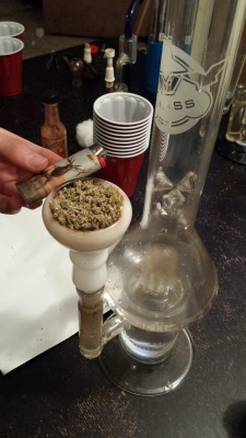smokers-section:  we discovered that the hookah bowl fits into my bong, so we did what any group of responsible stoners would do….packed a whole slice into the bowl and hot boxed our bedroom. 
