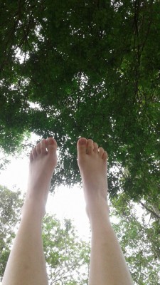 crazyforfeet:  My friend send me… feet