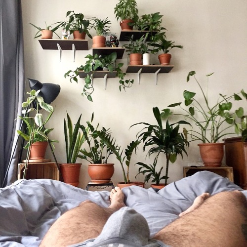 alex-novak:  feeling cozy.