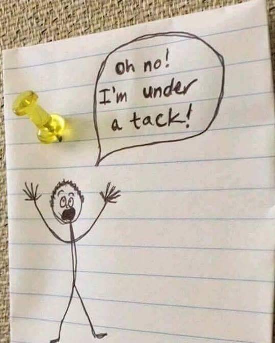 kelkel72:  @impeckable21 It’s been awhile since I tortured you with my bad puns