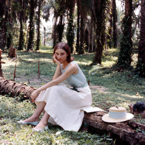 rareaudreyhepburn:  Audrey Hepburn photographed by Leo Fuchs in the Belgian Congo for the film The Nun’s Story, 1958.   