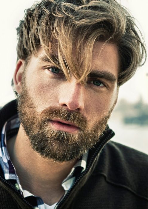 hairy nice men