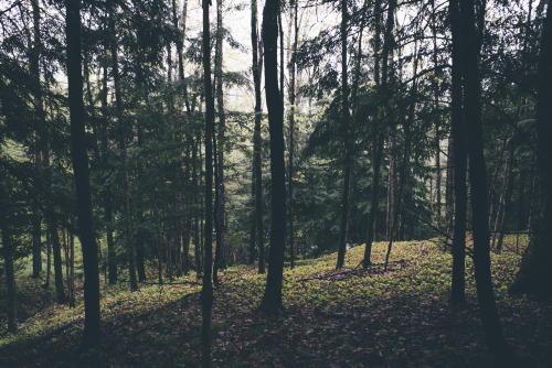 where do you go to escape?
