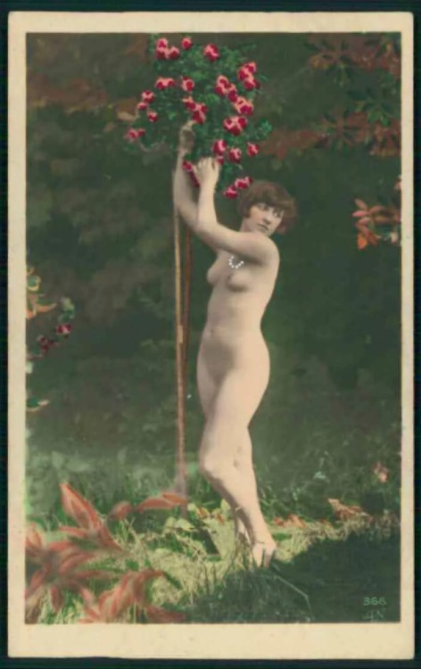 grandma-did: Noyer 366 submitted by lsu580307