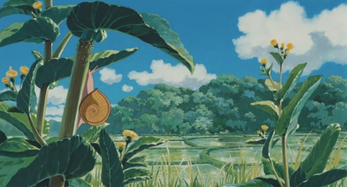 cottagecoredreams: Ghibli scenery 1/?: My Neighbor Totoro