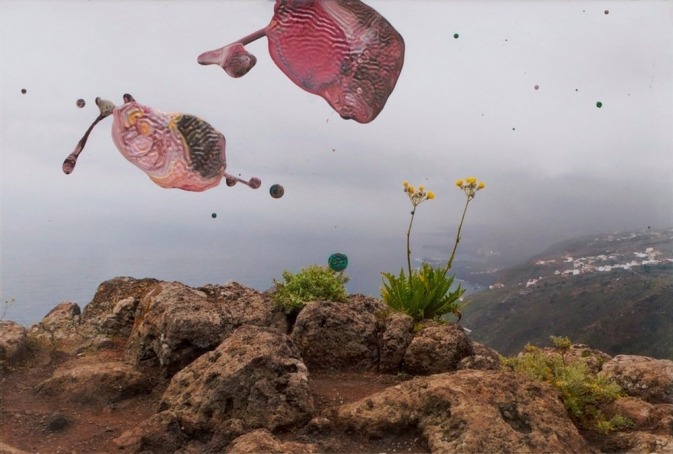 pleoros:Gerhard Richter - Overpainted photographs (Rural Landscapes), 2008/09