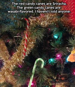 advice-animal:  You’re a mean one, Mr. Grinch…http://advice-animal.tumblr.com/  WHOOOOOA there Christmas Satan&hellip;.