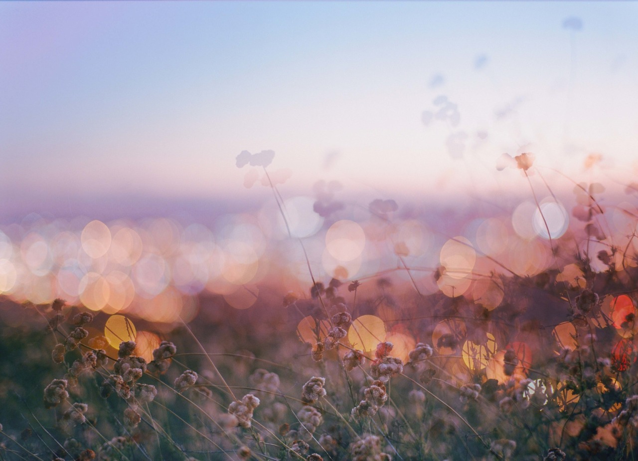 landscape-photo-graphy:  Plantraits by Anthony Samaniego Los Angeles-based photographer Anthony