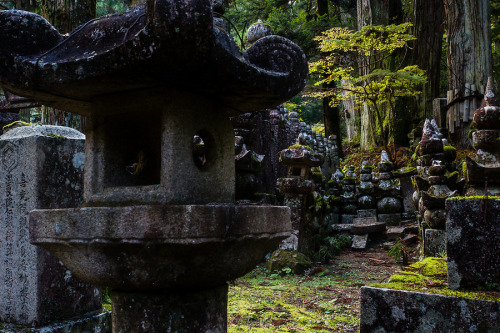 Stone Lantern by João Maia The buddhist cemetery of Koyasan was founded 1200 years ago and features 