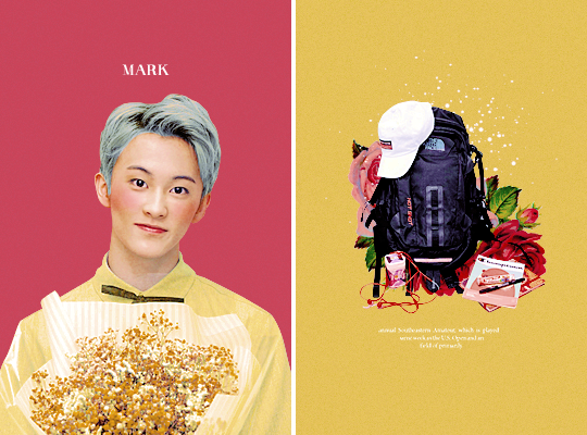 monoka:  nct dream flower boys &amp; their bags ðŸ’•ðŸŒ¸ðŸŽ’ 