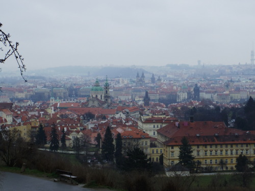 My trip to Prague Mar/15 Strahov library - strolling town