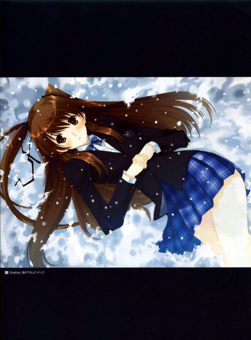 Leaf Illustration 2001-2013 Takeshi Nakamura Edition