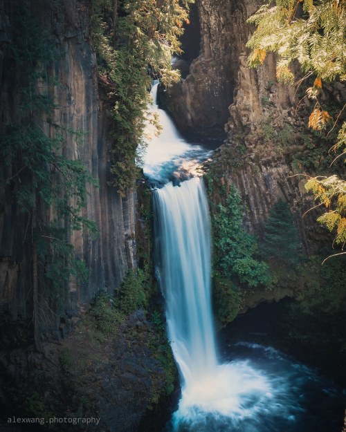 oneshotolive:  Toketee Falls, Oregon is straight out of paradise [3346x4182] [OC] [ig:alexwang.photography] 📷: 60Alex60 