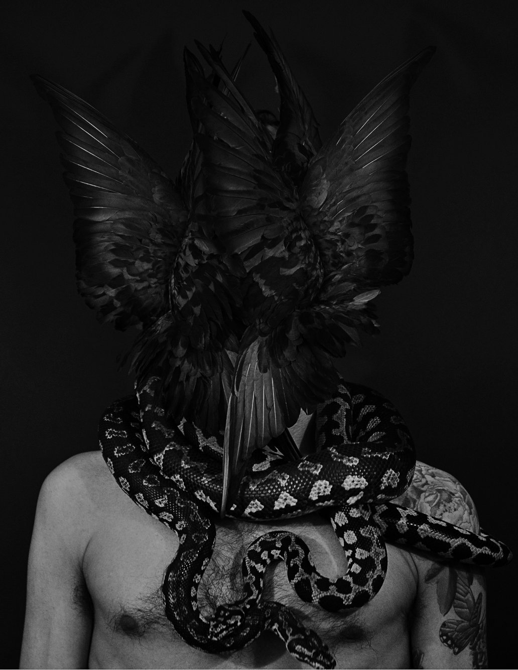 collvpkeith:  Fallen From Grace, Risen From Man  Exhibition  Predrag Pajdic &amp;