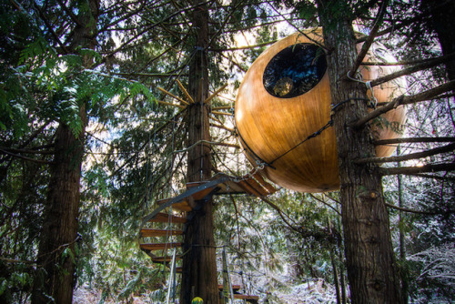 bobbycaputo:  Canada’s Giant Spherical Treehouse Hotels Let You Sleep in the Trees  