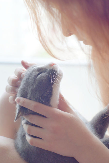 fotosfornovelas:  -Chicas con Gatos-Gatos