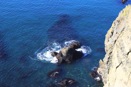 First stop in Iceland!Reykjanes Peninsula in South Iceland. View of Eldey IslandEyeAmerica - 6D - 20