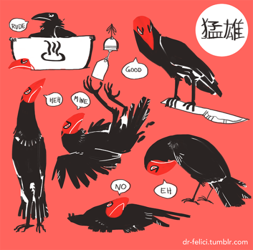 drfelici:A feral reference sheet for Takeo wasn’t planned but it happened. Silly yokai bird.